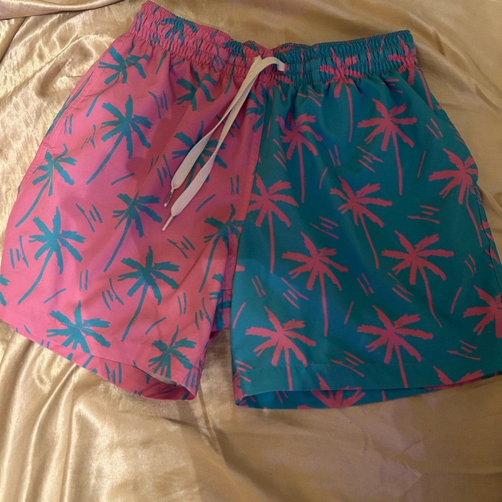 Men’s small chubbies Pink and Teal Palm Tree Swim Shorts